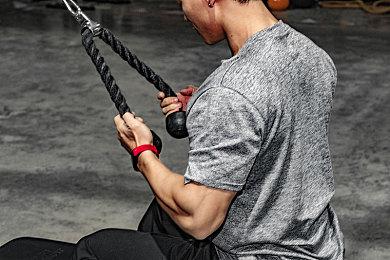 City Connection官方“下一项目”预告网页11个月后终于更新